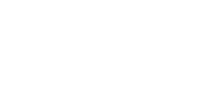 logo web